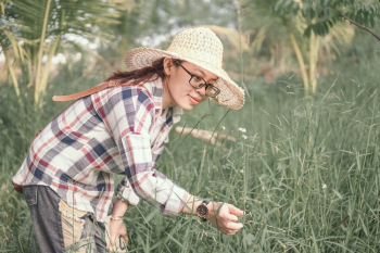 Woman Holding Green Grass Woman Holding Green Grass