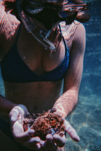Woman Holding Sea Animal Woman Holding Sea Animal