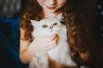 woman holding white cat woman holding white cat