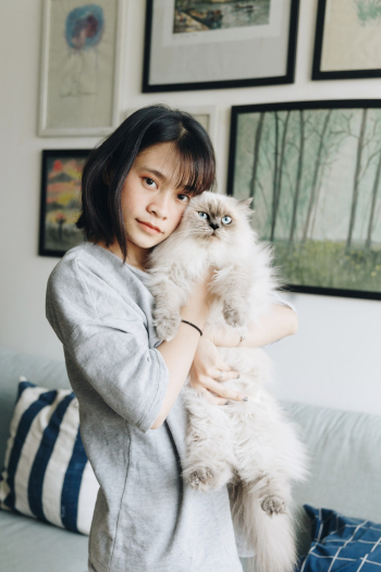 Woman Hugging Himalayan Cat Woman Hugging Himalayan Cat