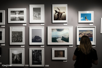 Woman in an art exhibition | Free stock photo - 295705 Woman in an art exhibition | Free stock photo - 295705