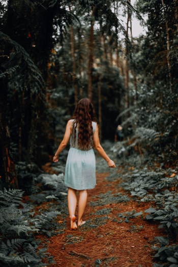 Woman in Blue Dress Walking Inside Forest Woman in Blue Dress Walking Inside Forest
