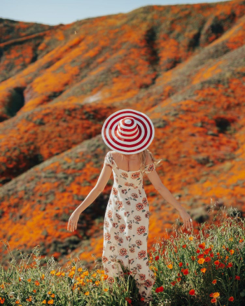 Woman In Floral Dress With Red and White Sun Hat Standing Beside Blooming Flowers
