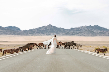 Woman In The Middle Of The Road With Horses Crossing Woman In The Middle Of The Road With Horses Crossing