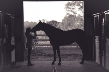 woman kissing horse woman kissing horse