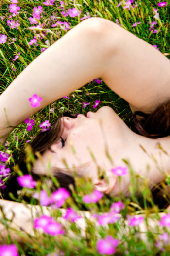 Woman Lying on Flower Field Woman Lying on Flower Field