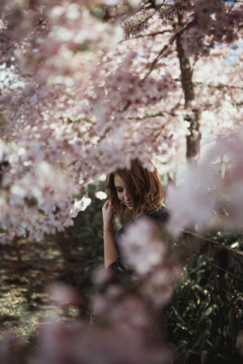 woman near cherry blossom tree woman near cherry blossom tree