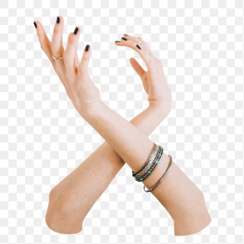 Woman's hands png sticker, transparent | Free PNG - rawpixel Woman's hands png sticker, transparent | Free PNG - rawpixel