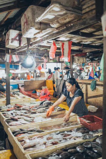 Woman Selling Fish In Market Woman Selling Fish In Market