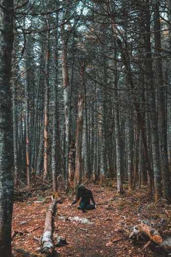 woman sitting on soil woman sitting on soil