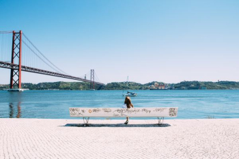 woman sitting on white bench in front of sea woman sitting on white bench in front of sea