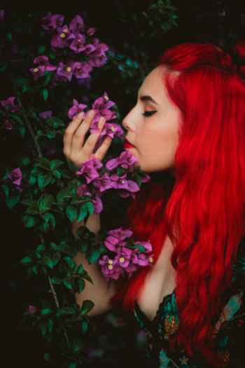 Woman Sniffing Purple Bougainvillea Plant