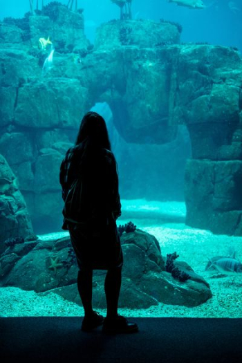 woman standing near aquarium