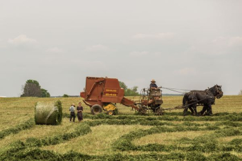 woman standing near brown combine harvester woman standing near brown combine harvester