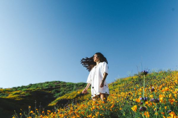 woman standing of flower field woman standing of flower field