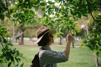 Woman Taking Pictures