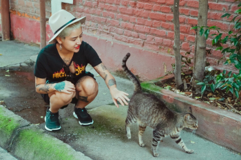 Woman Touching Brown Tabby Cat Woman Touching Brown Tabby Cat
