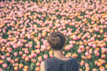 Woman Viewing Tulips Woman Viewing Tulips