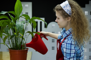 Woman Watering Plant Woman Watering Plant