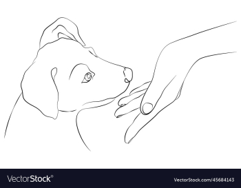 womans hand and muzzle of a puppy dog and human womans hand and muzzle of a puppy dog and human