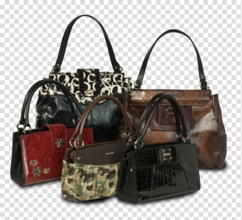 Women Bag Free PNG Image