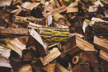 Wood Wood