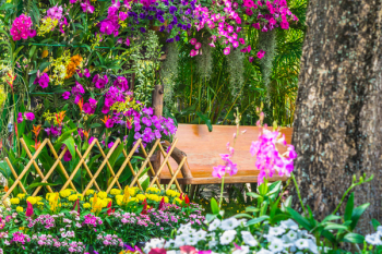 Wood chair in the flowers garden on summer.