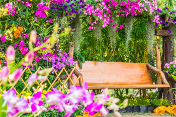 Wood chair in the flowers garden on summer.