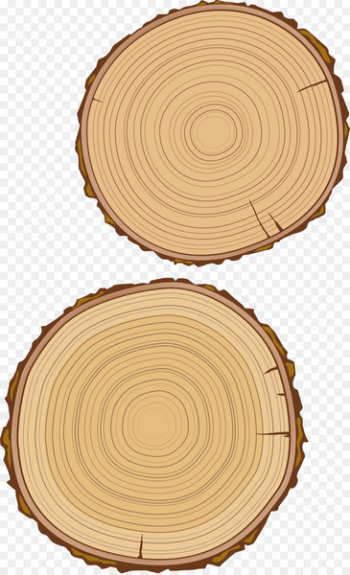 Wood grain Material - Woody wood Wood grain Material - Woody wood