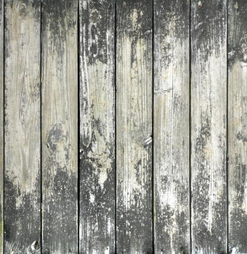 Wood Plank Texture 2.jpg Wood Plank Texture 2.jpg