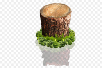 Wood Tree stump - tree stump Wood Tree stump - tree stump