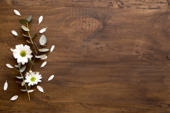 Wooden background with flowers Wooden background with flowers