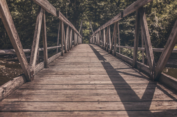 Wooden Bridge Free Photo 