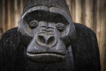 Wooden carving gorilla, animal photo. | Free Photo - rawpixel Wooden carving gorilla, animal photo. | Free Photo - rawpixel