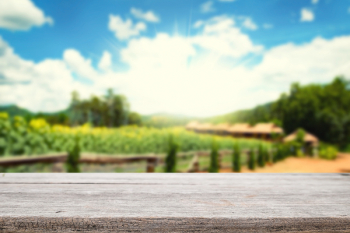 Wooden desk space platform and farm of field background vintage tone.