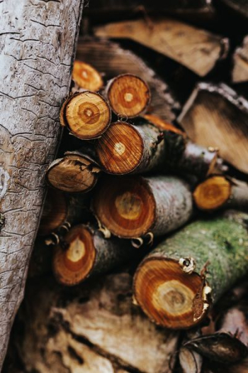 Wooden logs Wooden logs