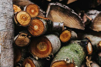 Wooden logs Wooden logs