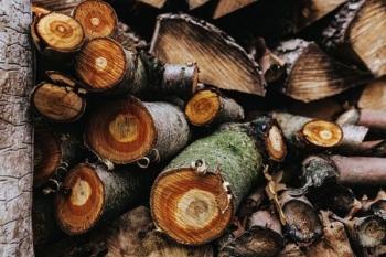 Wooden logs Wooden logs