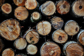 Wooden logs Wooden logs