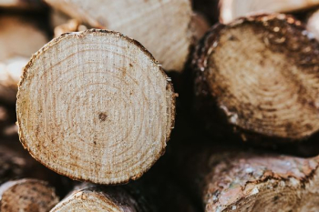 Wooden logs Wooden logs