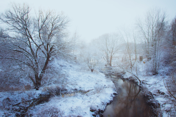 Woodland Stream Covered With Snow Woodland Stream Covered With Snow