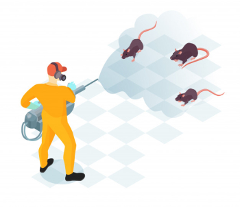 Worker of pest control service with professional equipment during domestic disinfection from rodents isometric vector illustration Free Vector