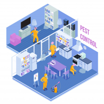 Workers of pest control service during sanitary processing of kitchen and living room isometric vector illustration Free Vector
