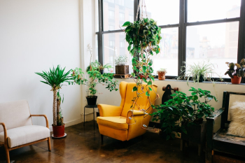 Working out of coworking spaces like Brass Factory in Williamsburg, Brooklyn.
