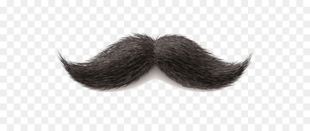 World Beard and Moustache Championships Clip art - Moustache Png Image 