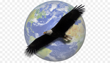 World Religion Polytheism Hinduism Islam - cerejeira World Religion Polytheism Hinduism Islam - cerejeira
