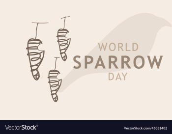 world sparrow day world sparrow day