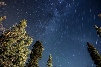 worms view of sky filled with stars worms view of sky filled with stars