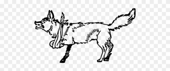 Wounded Animal,wounded Dog,wounded Wolf,wounded Fox,broken - Lame Fox Wounded Animal,wounded Dog,wounded Wolf,wounded Fox,broken - Lame Fox
