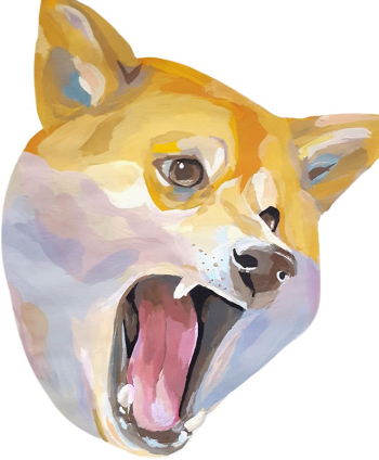 Wow so PNG - Angry Doge" Stickers by ulalalol | Redbubble